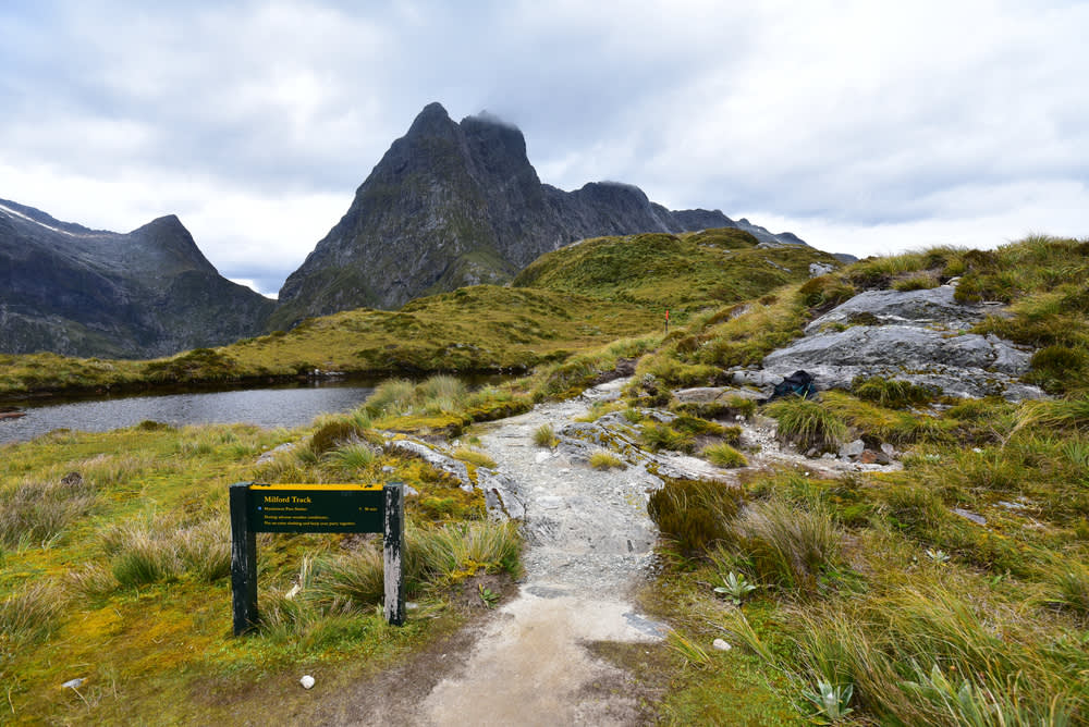 Vandringen Milford Track