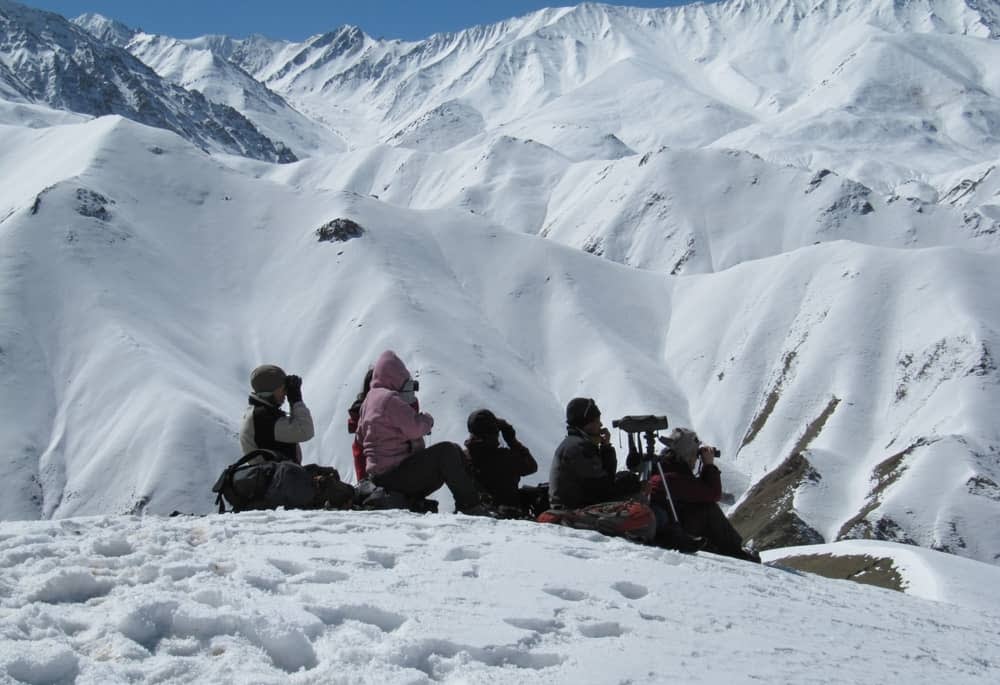 Exodus group scouring mountains for Snow leopards in Ladakh