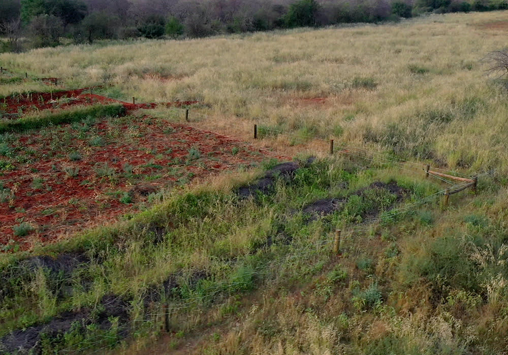 Aerial view of fences from Freedom to Roam Project