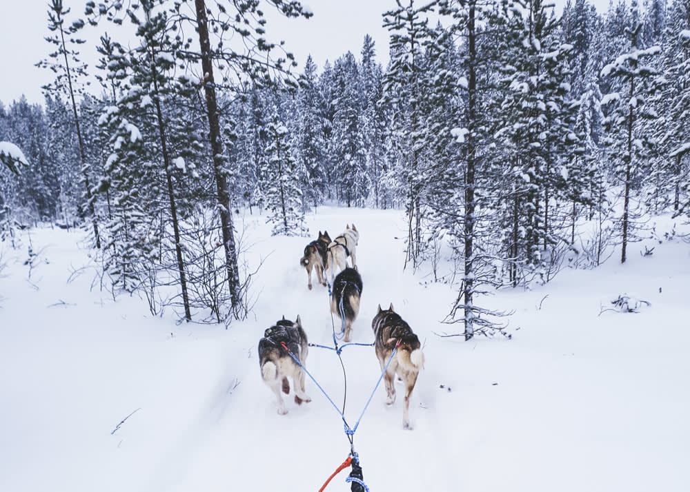 Finnish Wilderness Week