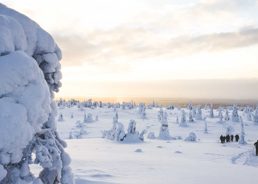 snowshoeing at Riisitunturi