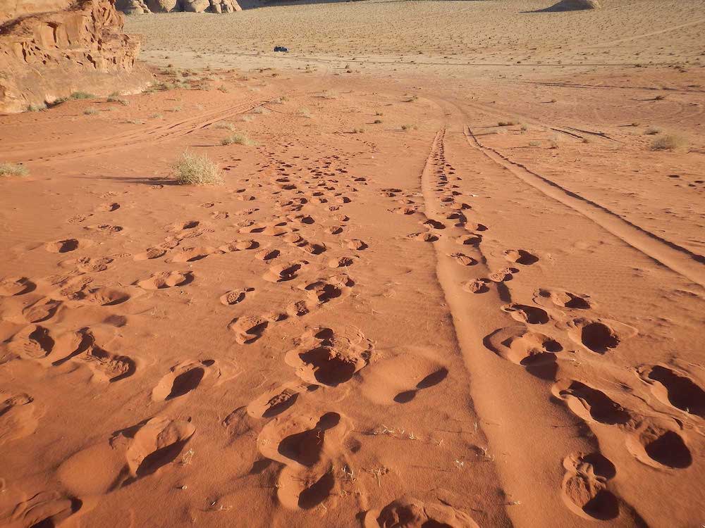 Footprints in the desert sand