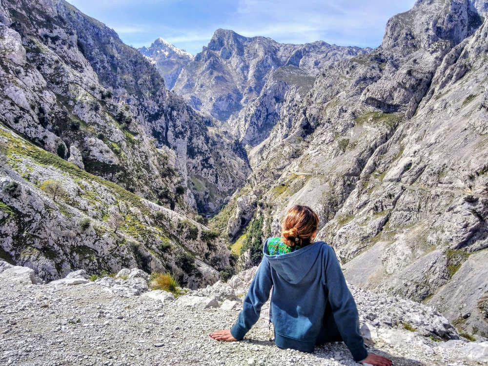 Picos De Europa