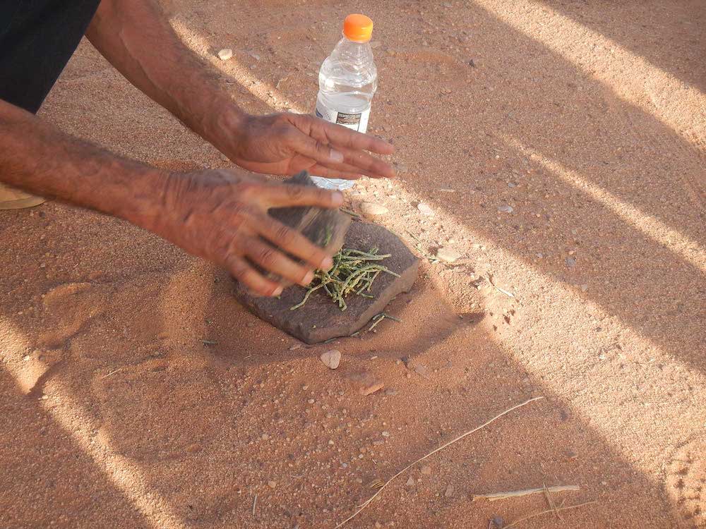 desert herbs