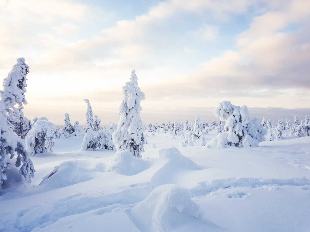 Winter landscape at Riisitunturi