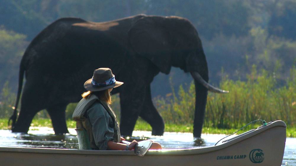 Luxury Zambia Holidays - Tailor-made Hayes & Jarvis Holidays