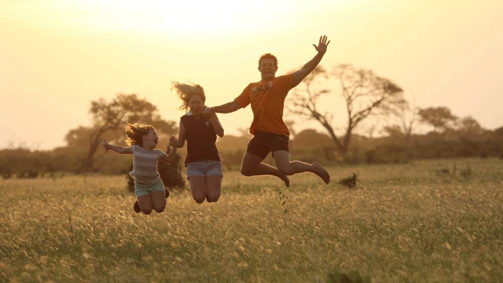 Encounter the Wild with Family Safari Holidays | Hayes & Jarvis