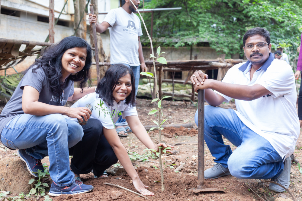 Green Office & Operations Hayes & Jarvis
