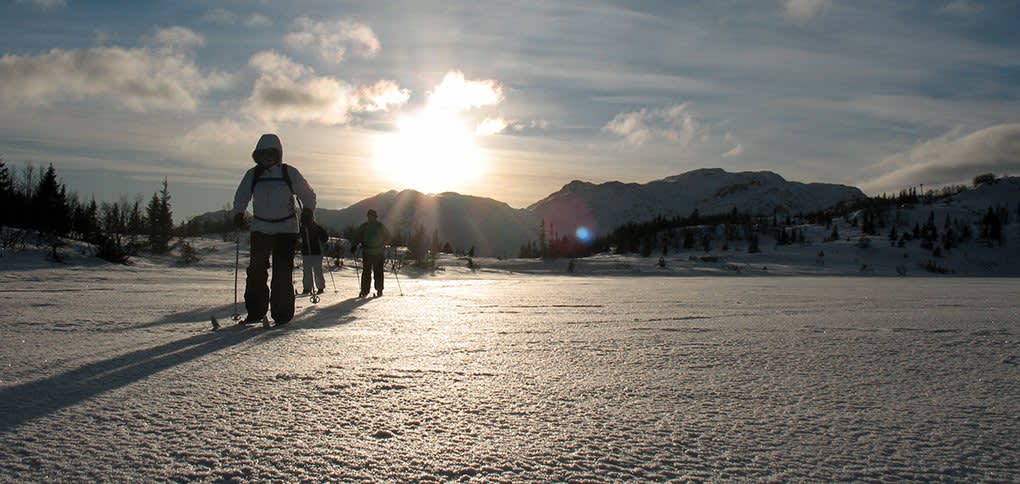 Cross-country skiing across a frozen lake