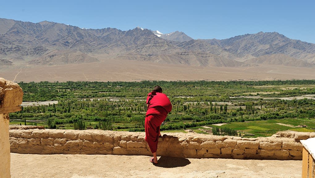 Monk overlooking Leh Valley, Ladakh