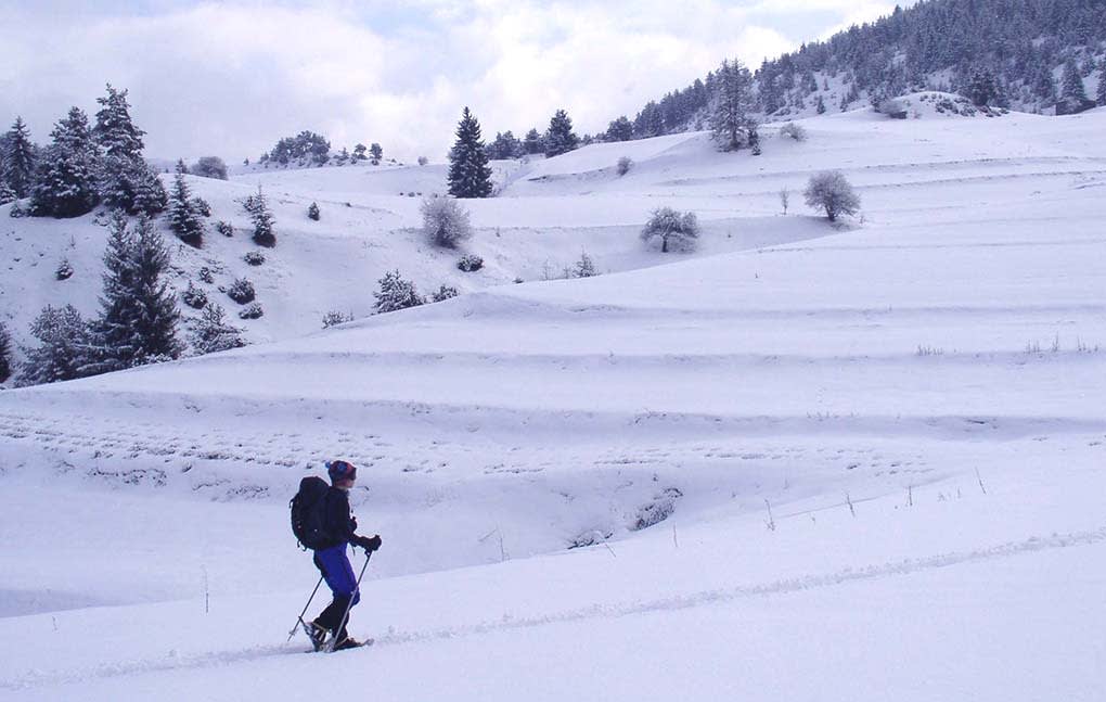 Snowshoeing in the hills