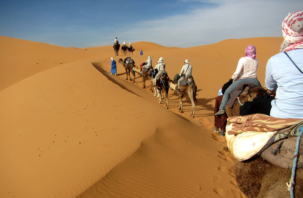 Riding camels through the Moroccan desert
