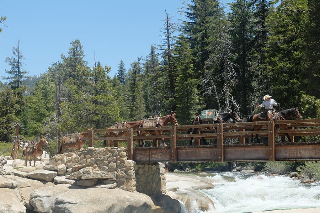 150 Years of Yosemite