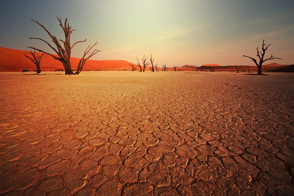 Dead Valley in Namibia