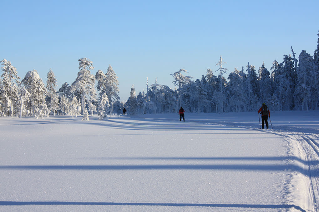 Cross-country skiing