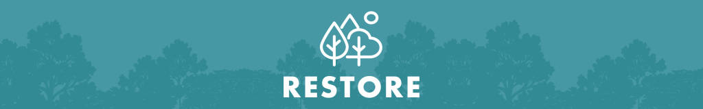 Restore