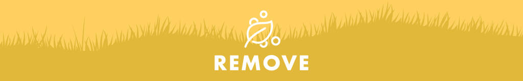 Remove