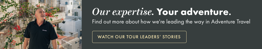 Expert Leaders