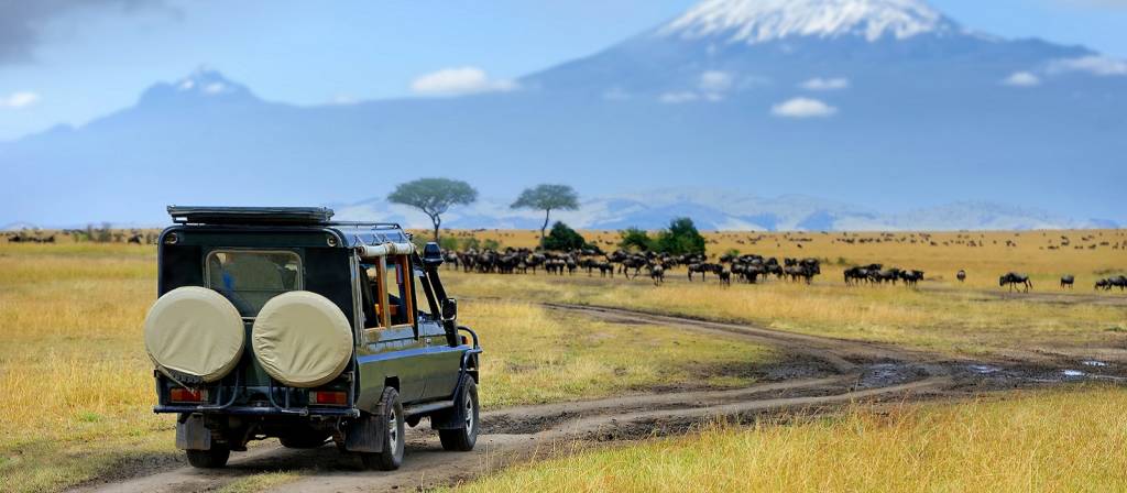safari i masai mara Kenya eller Tanzania: Vilken safari passar dig?