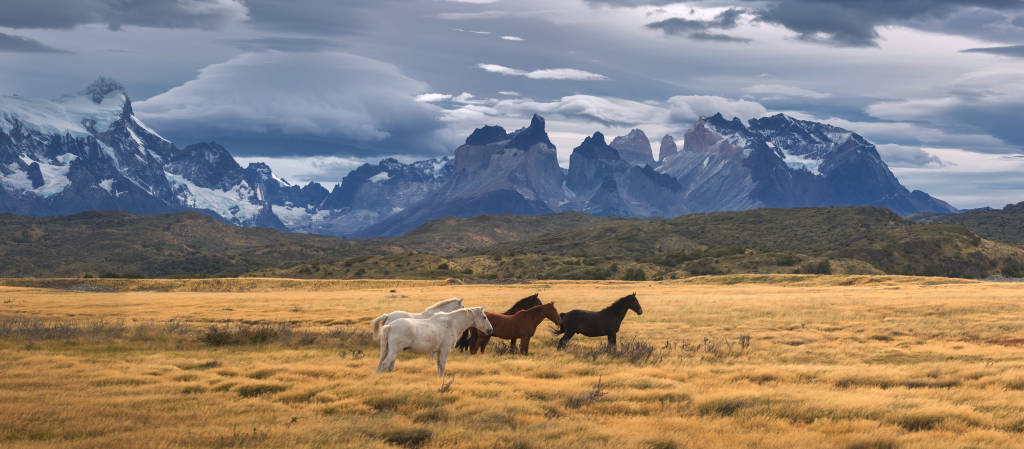 Torres del Paine National Park, Patagonia, Chile