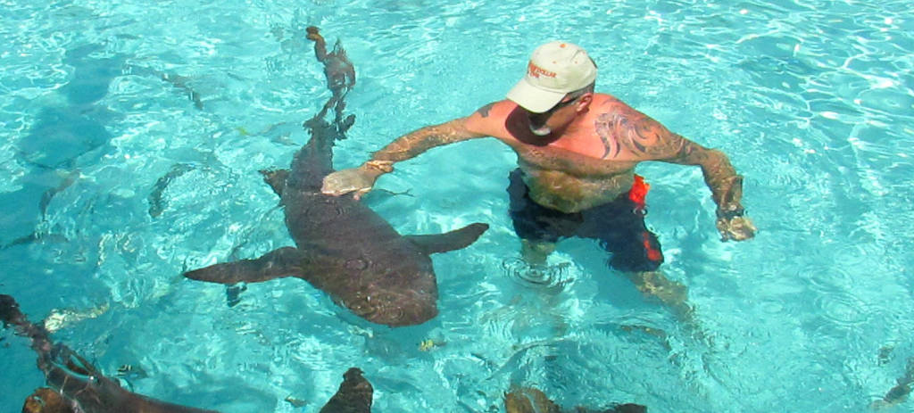 Exuma Nurse Sharks