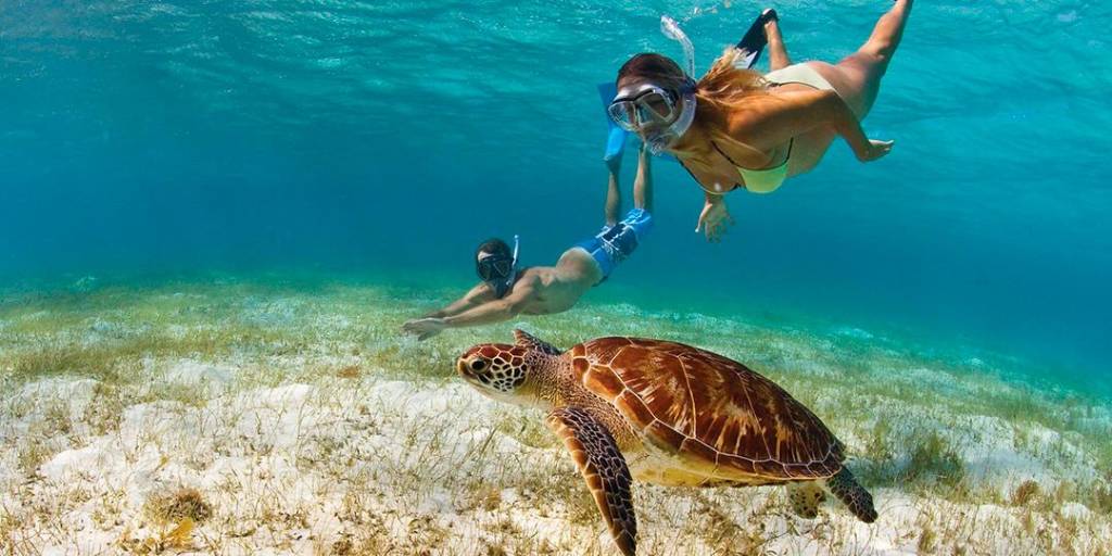 Les Meilleurs Appareils Photo pour le Snorkeling