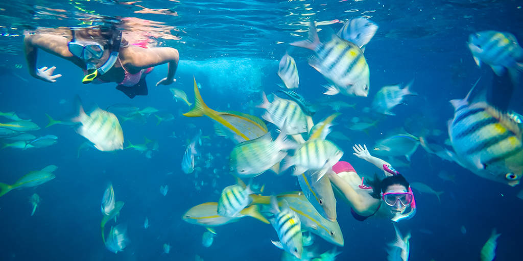 Women snorkelling with a school of fish