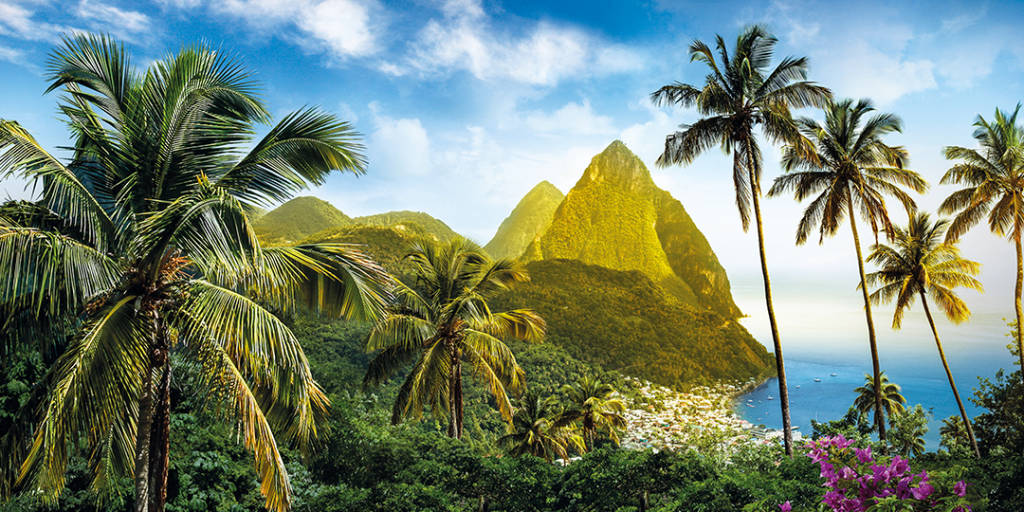 St. Lucia palm trees and mountains