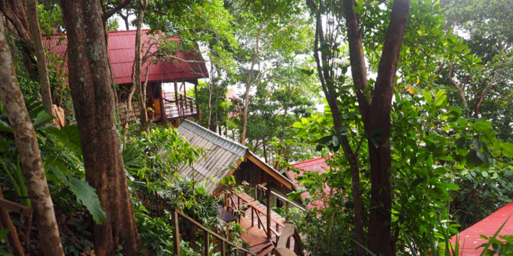 villas and verandas built into the cliff sides