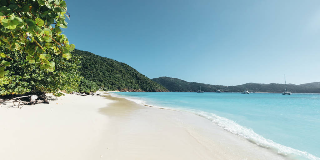 BVI