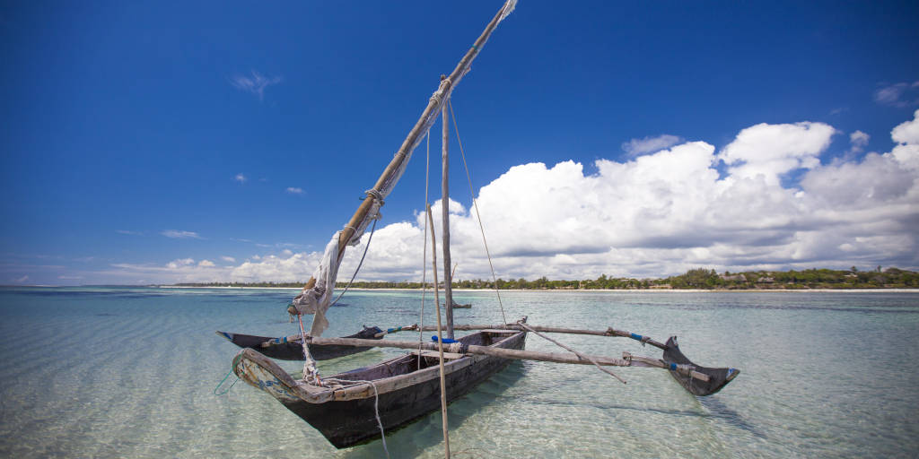 Diani beach, Kenya Kenya eller Tanzania: Vilken safari passar dig?