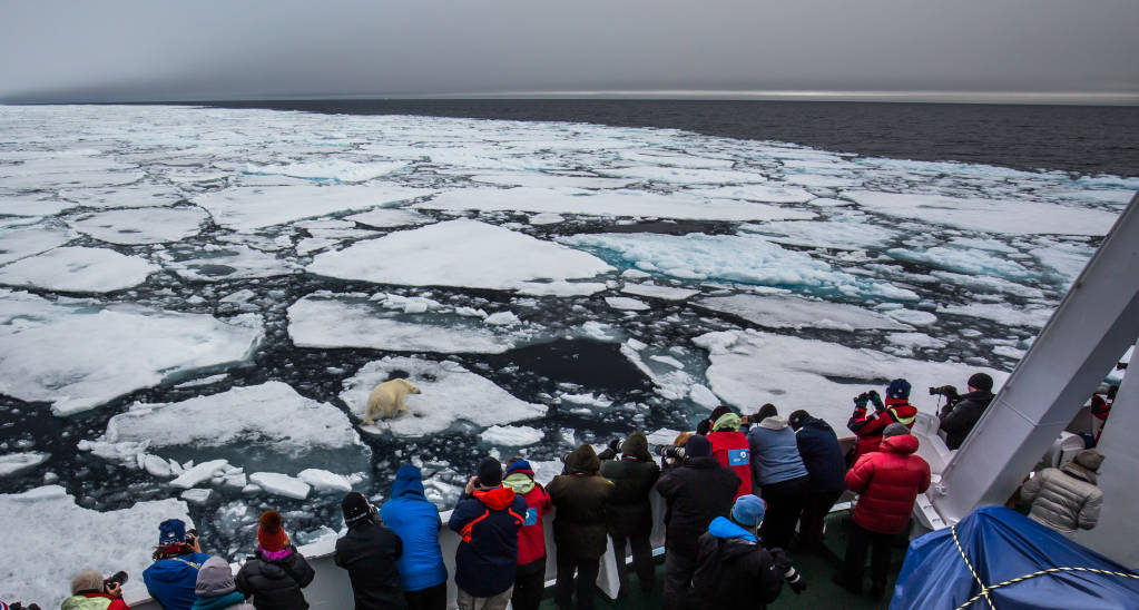 On Board the Vavilov by Paul Goldstein