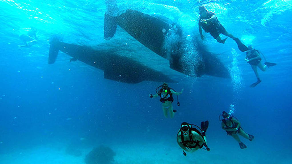 Diving Lessons in the Bahamas