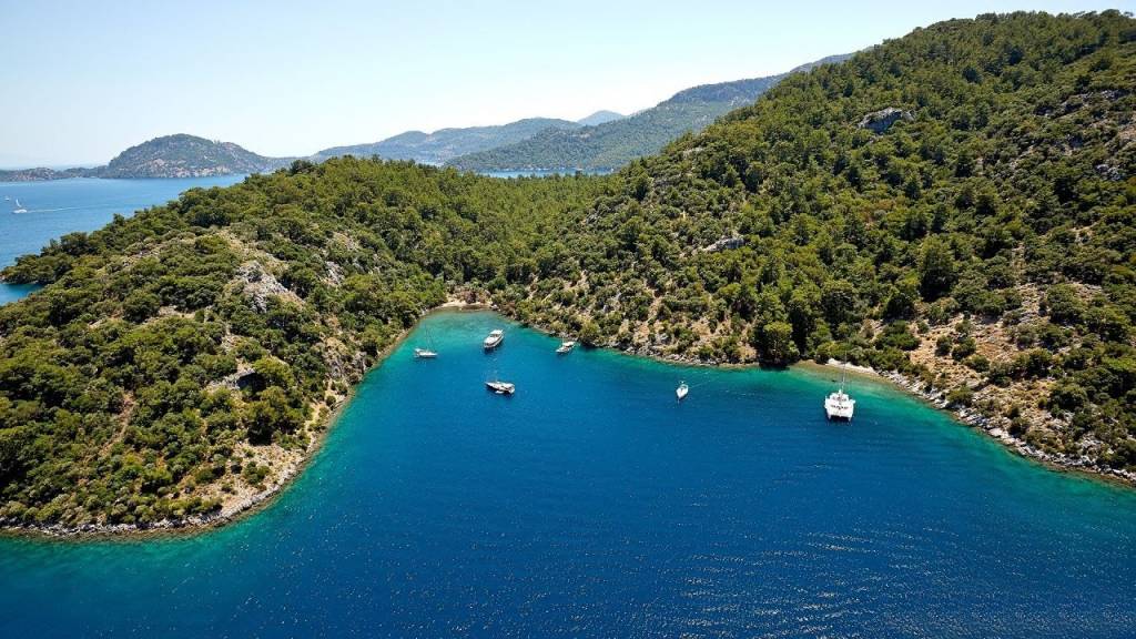 turkey 