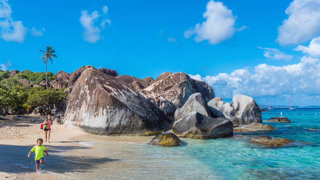 BVI005