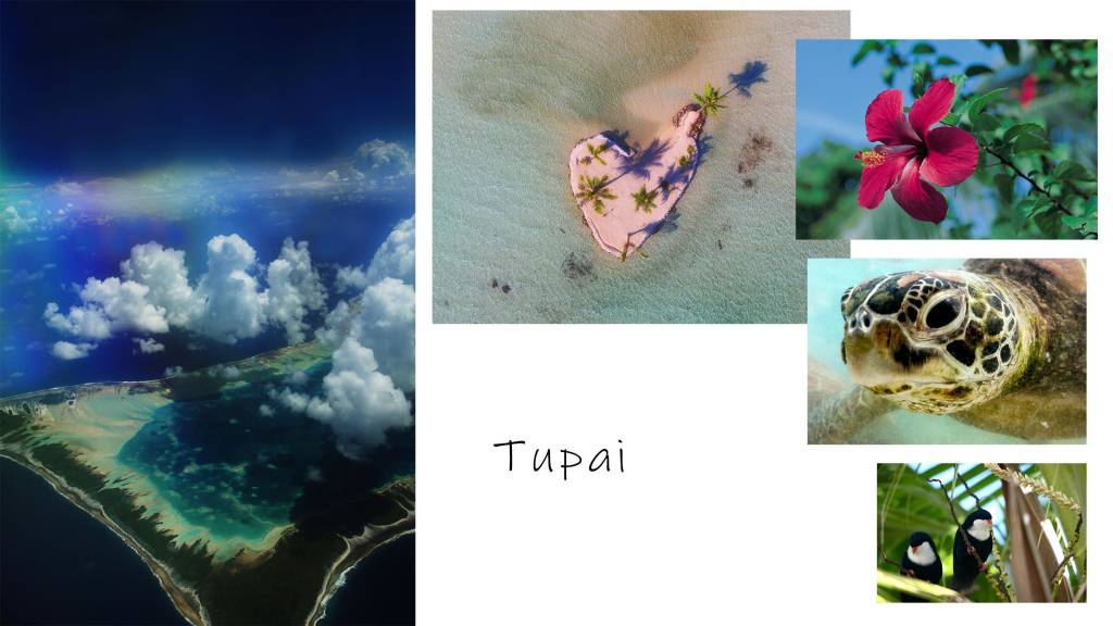 Tupai