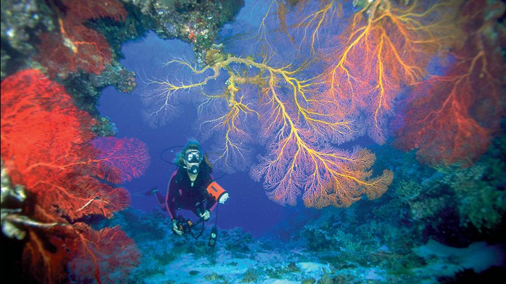 Woman Exploring reef in Tonga