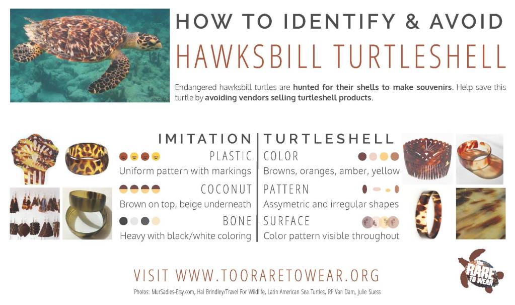 Too Rare to Wear: how to identify turtleshell