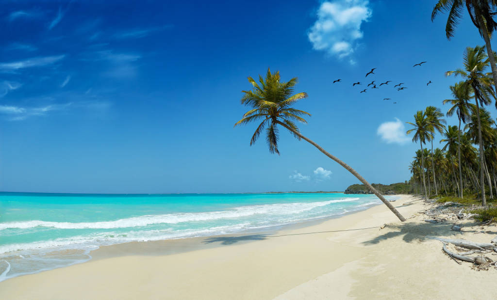 Great Guana Cay