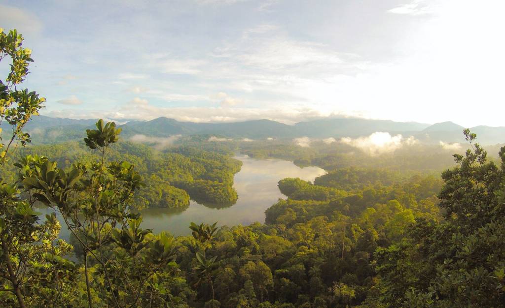 Reducing Carbon Footprints