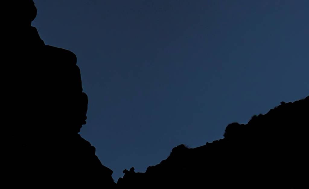 Silhouettes of two Snow Leopards in Ladakh (Image by Paul Goldstein)