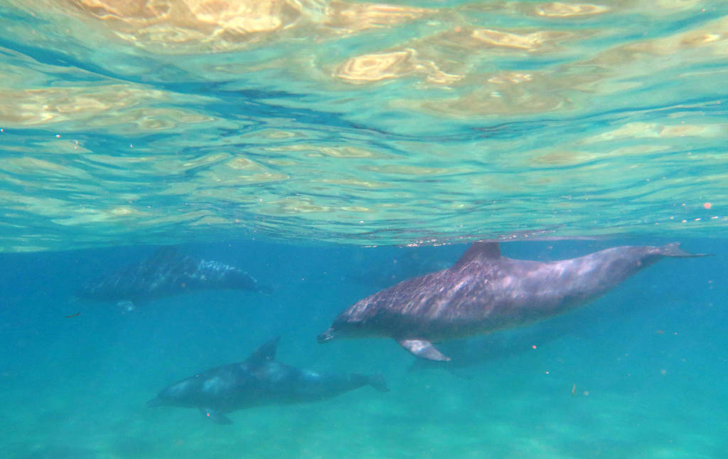 Wild Waters: 7 Ways to Experience the Coast Differently