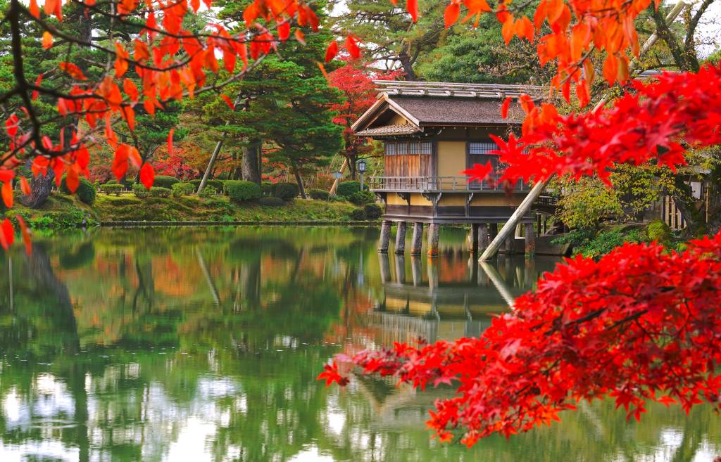 Top 6 Experiences in Japan: An Insider’s Guide