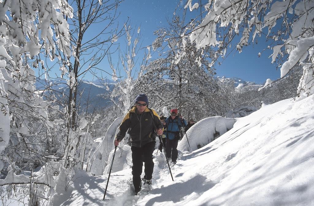 Top Five Winter Activity Holidays