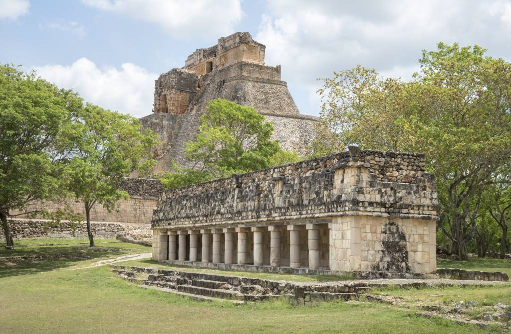 🍂Fall🍂 in Love with Japan