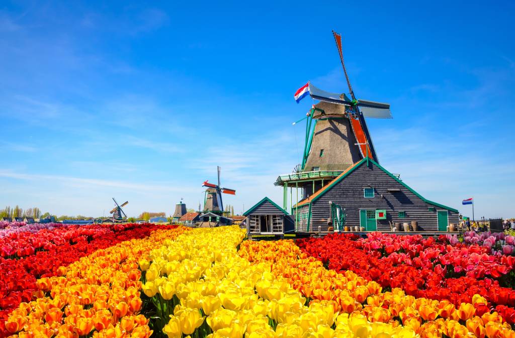 Rhine River Cruise in Tulip Season with YMT Vacations