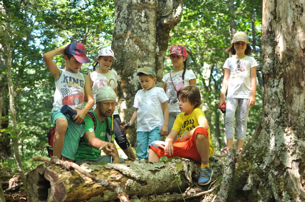 Adventure2017 Bosnia group in the forest