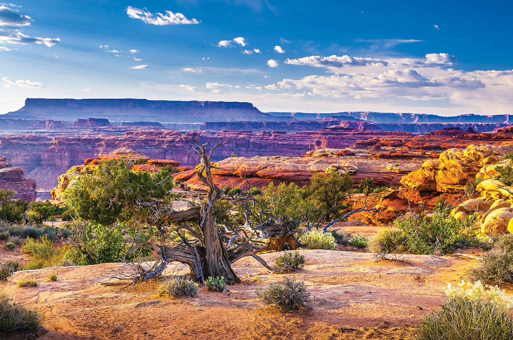 Tips For Exploring Canyonlands National Park