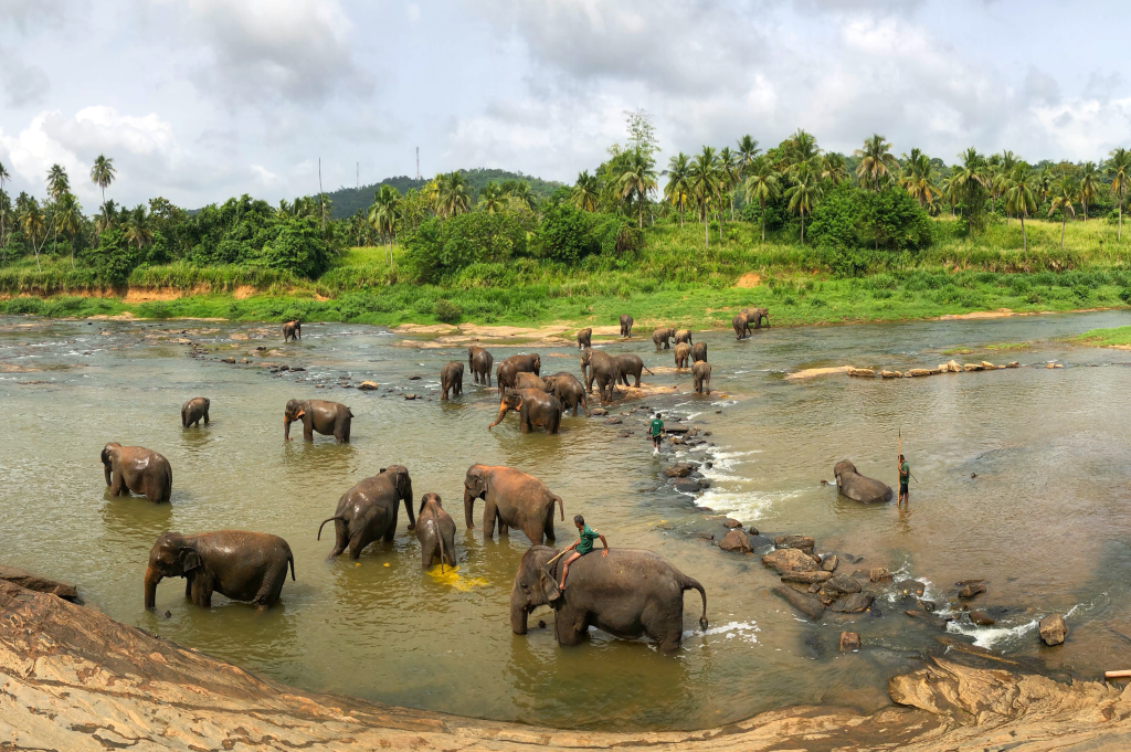 Sri Lanka Sehenswürdigkeiten