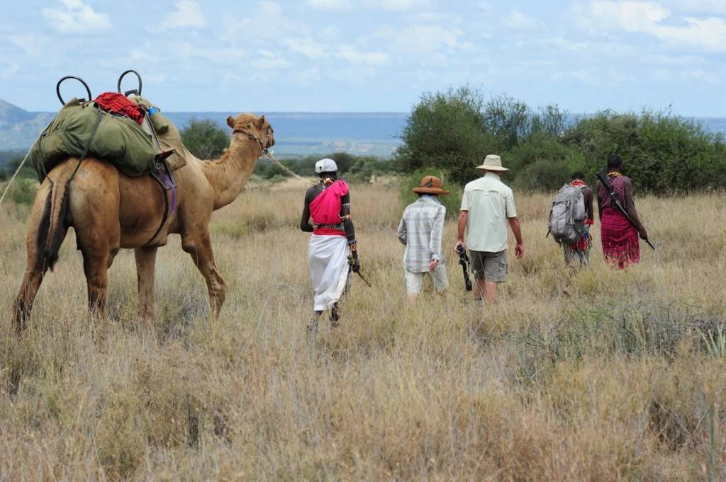 Top 5 Kenia Highlights: die schönsten Erlebnisse von Safari bis Strand
